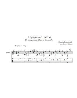 Городские цветы на гитаре