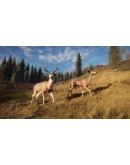 theHunter: Call of the Wild STEAM РФ+МИР / РУССКИЙ ЯЗЫК theHunter: Call of the Wild STEAM РФ+МИР / РУССКИЙ ЯЗЫК