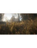 theHunter: Call of the Wild STEAM РФ+МИР / РУССКИЙ ЯЗЫК theHunter: Call of the Wild STEAM РФ+МИР / РУССКИЙ ЯЗЫК