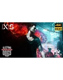SLEEPING DOGS DEFINITIVE XBOX ONE / XSКЛЮЧ