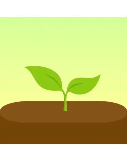 Forest iPhone ios iPad Appstore На Сутки