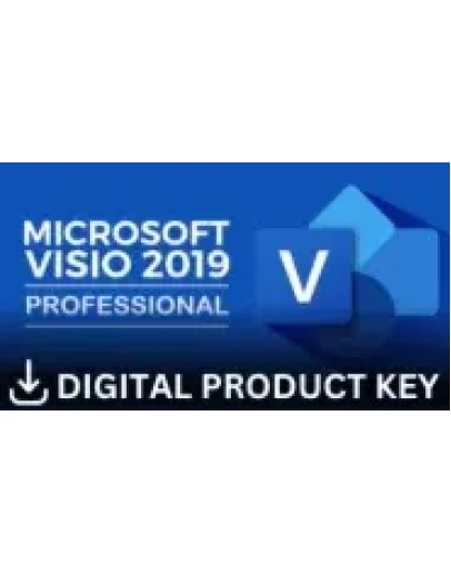 Visio Professional 2019 BIND GLOBAL CD Key
