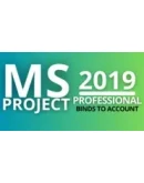 Project Professional 2019 1 PC BIND GLOBAL CD Key