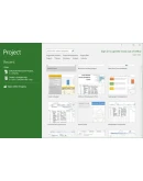 Project Professional 2019 1 PC BIND GLOBAL CD Key