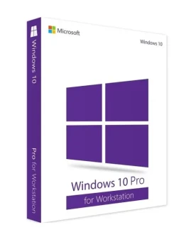 Windows 10 Professional Workstation 1PC