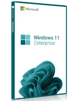 Windows 11 Enterprise 1 PC