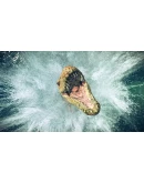 Jurassic World Evolution 2 Xbox One &amp Series XS