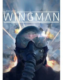 Project Wingman STEAM KEY RU+CIS