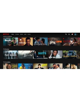 NETFLIX Global Premium 2022