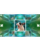 Poly Puzzle: Cats (Steam key/Region free)