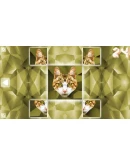 Poly Puzzle: Cats (Steam key/Region free)