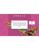 Kyle is Famous: Complete EditionSteamРФ+МирKey +