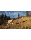 theHunter: Call of the Wild/ Подарки theHunter: Call of the Wild/ Подарки