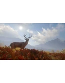 theHunter: Call of the Wild/ Подарки theHunter: Call of the Wild/ Подарки