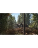 theHunter: Call of the Wild/ Подарки theHunter: Call of the Wild/ Подарки