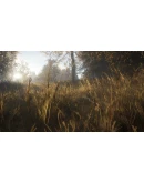theHunter: Call of the Wild/ Подарки theHunter: Call of the Wild/ Подарки