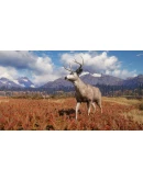 theHunter: Call of the Wild ( Region Free ) theHunter: Call of the Wild ( Region Free )