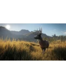 theHunter: Call of the Wild ( Region Free ) theHunter: Call of the Wild ( Region Free )