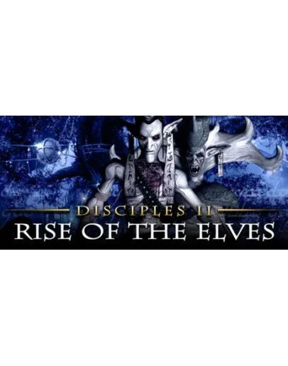 Disciples II: Rise of the Elves STEAM KEY REGION FREE