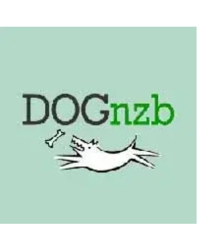 Аккаунт Dognzb.cr