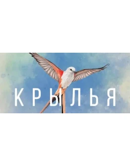 WINGSPAN (КРЫЛЬЯ) АВТОДОСТАВКА STEAM GIFT РОССИЯ