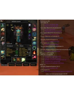 2322 x100 Шам 4,9к гс (Орда/Альянс)