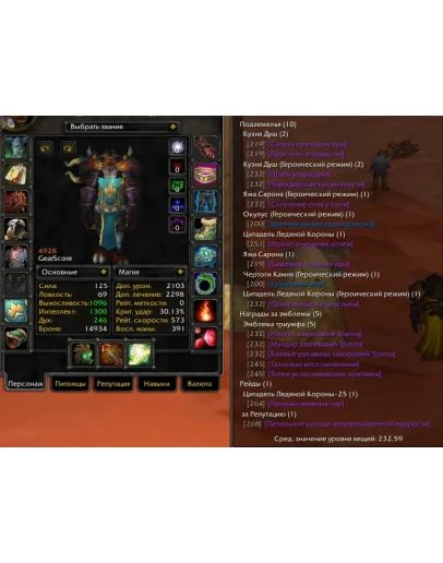 2322 x100 Шам 4,9к гс (Орда/Альянс)