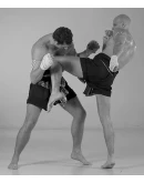 Старый стиль Муай Боран: сокрушительные удары локтями