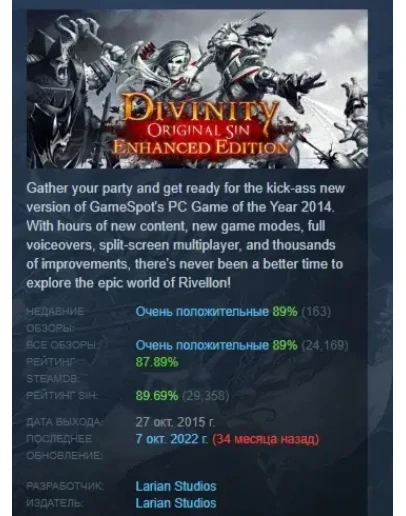 Divinity: Original Sin Enhanced Edition STEAM РОССИЯ