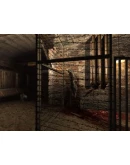 Penumbra Collectors Pack АВТОДОСТАВКА STEAM РОССИЯ