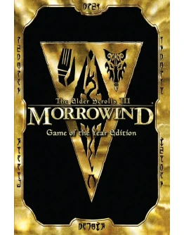 Elder Scrolls III Morrowind GOTY (Steam Gift RegFree)