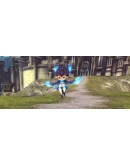 Echo of Souls Blue Ciskai Pet ПРОМОКОД