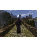 Gothic II Gold Edition АВТОДОСТАВКА STEAM GIFT РОССИЯ