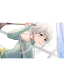 Adorable Witch 2 АВТОДОСТАВКА STEAM GIFT РОССИЯ