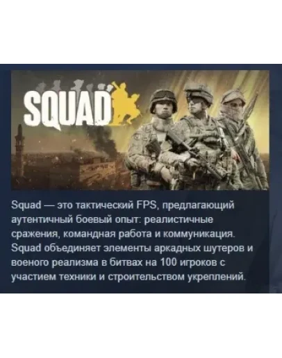 Squad АВТОДОСТАВКА STEAM РОССИЯ