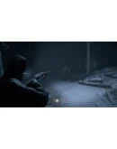 In Silence АВТОДОСТАВКА STEAM РОССИЯ