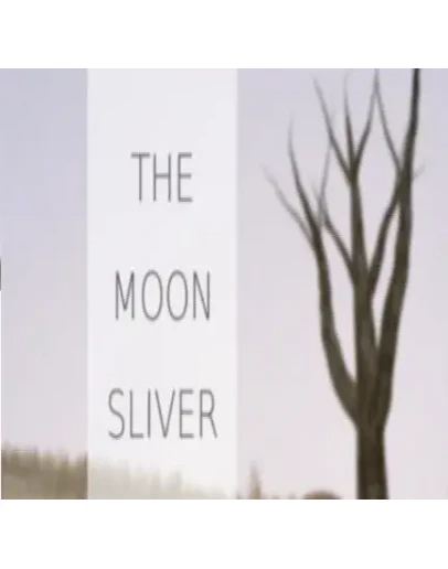 The Moon Sliver (Steam key / Region Free)