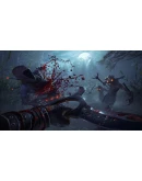 Shadow Warrior 2 (Steam GLOBAL) + Бонус