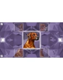 Poly Puzzle: Dogs (Steam key/Region free)