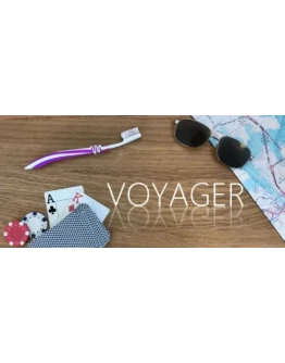 Voyager STEAM KEY REGION FREE GLOBAL ROW