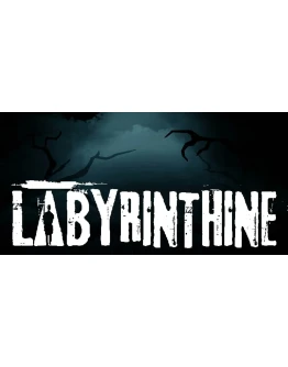 Labyrinthine (STEAM) Аккаунтна 90 дней