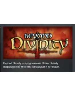Beyond Divinity АВТОДОСТАВКА STEAM GIFT РОССИЯ