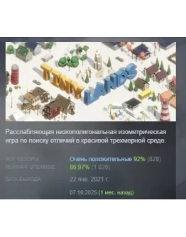 Tiny Lands АВТОДОСТАВКА STEAM GIFT РОССИЯ