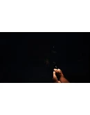 Chased by Darkness АВТОДОСТАВКА STEAM GIFT RU