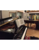 Europa Universalis IV: Fredman's Epistles STEAM РОССИЯ