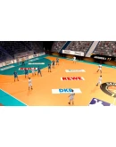 Handball 17 АВТОДОСТАВКА STEAM GIFT RU