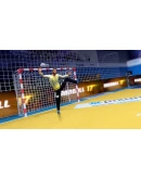 Handball 17 АВТОДОСТАВКА STEAM GIFT RU
