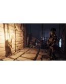 The Morrigan (Steam key / Region Free)