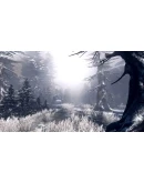 The Incredible Adventures of Van Helsing II STEAM РФ