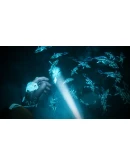 Biolum АВТОДОСТАВКА STEAM GIFT РОССИЯ